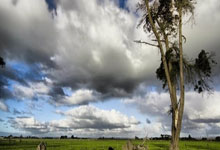 克罗地亚vs巴西的比赛有哪些精彩回放瞬间？