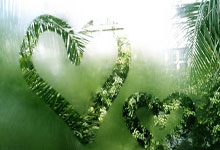 2024欧洲杯小组抽签后，各小组的竞争格局和看点有哪些？